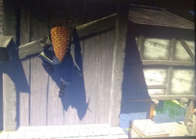 Assassin's Creed Valhalla