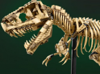 LEGO Jurassic World 76968 Dinosaurus fossielen: Tyrannosaurus Rex