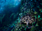 Van de makers van Coraline komt Wildwood, dat in oktober in de bioscoop zal verschijnen