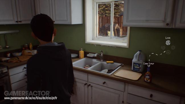 Life is Strange 2